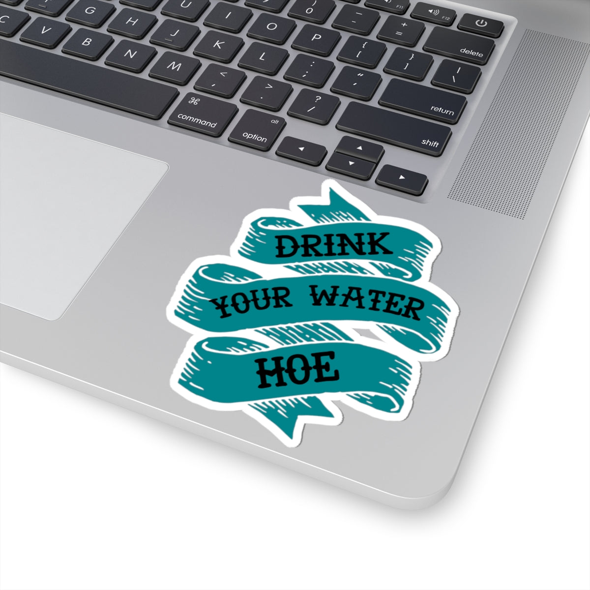 Drink Your Water Hoe Sticker